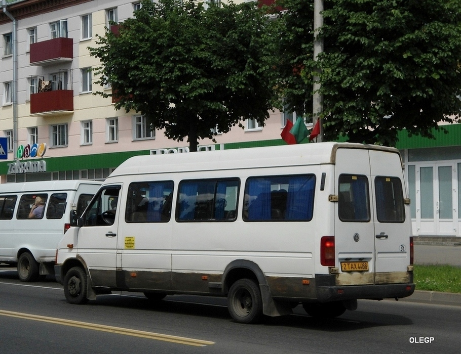 Витебская область, Volkswagen LT46 № 2 ТАХ 4466