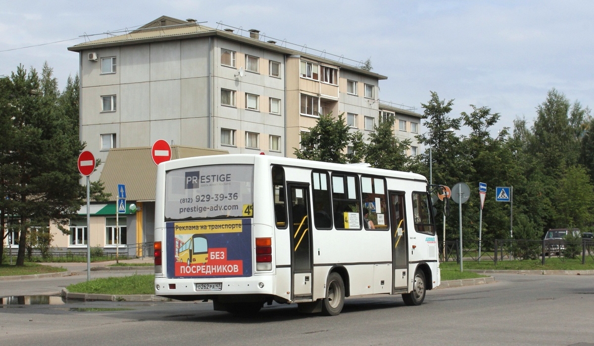 Ленинградская область, ПАЗ-320402-05 № О 262 РА 47