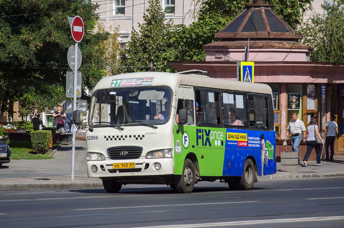 Ростовская область, Hyundai County SWB C08 (РЗГА) № 02869