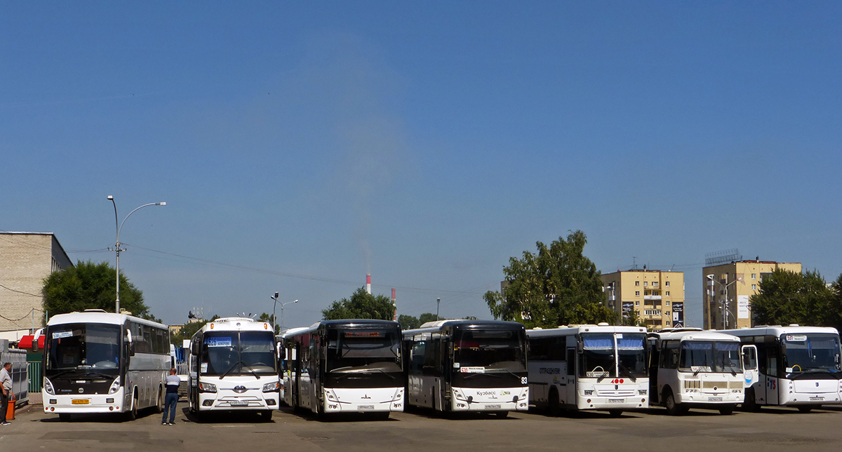 Kemerovo region - Kuzbass — Bus stations.