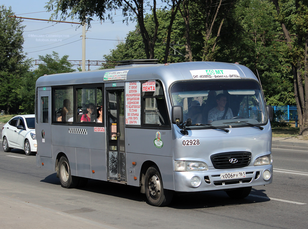 Ростовская область, Hyundai County LWB C09 (ТагАЗ) № 02928