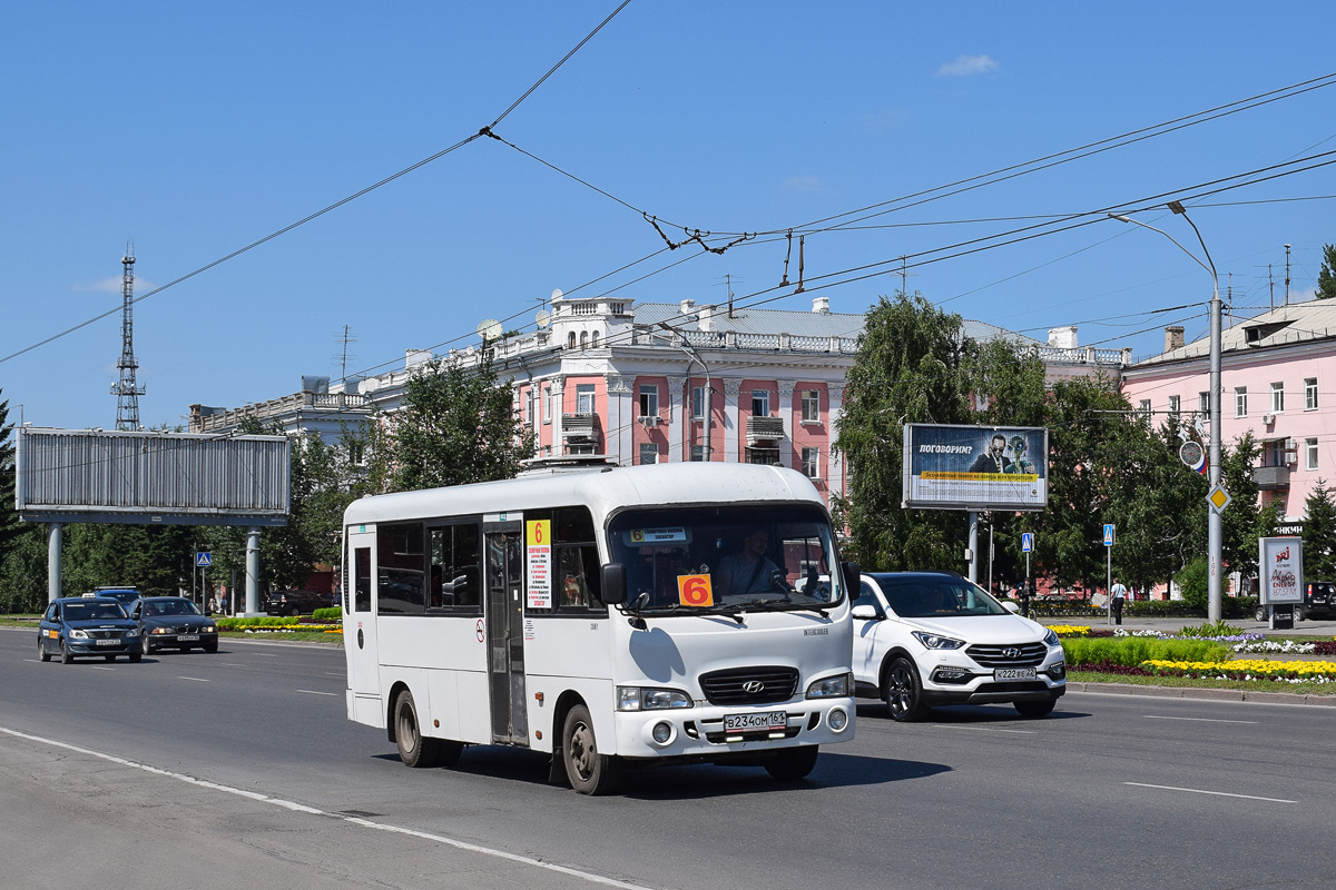 Алтайский край, Hyundai County LWB (ТагАЗ) № В 234 ОМ 161