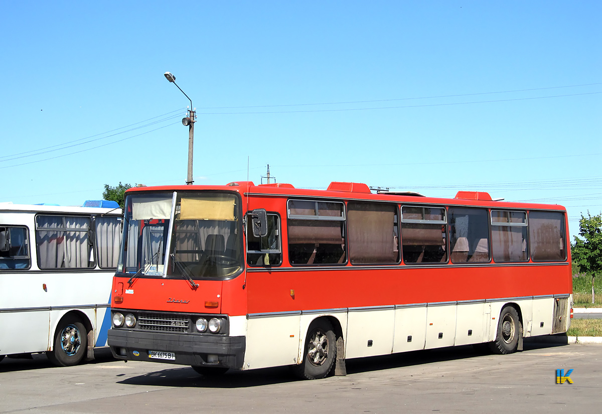 Ровненская область, Ikarus 250.59 № BK 6675 BI