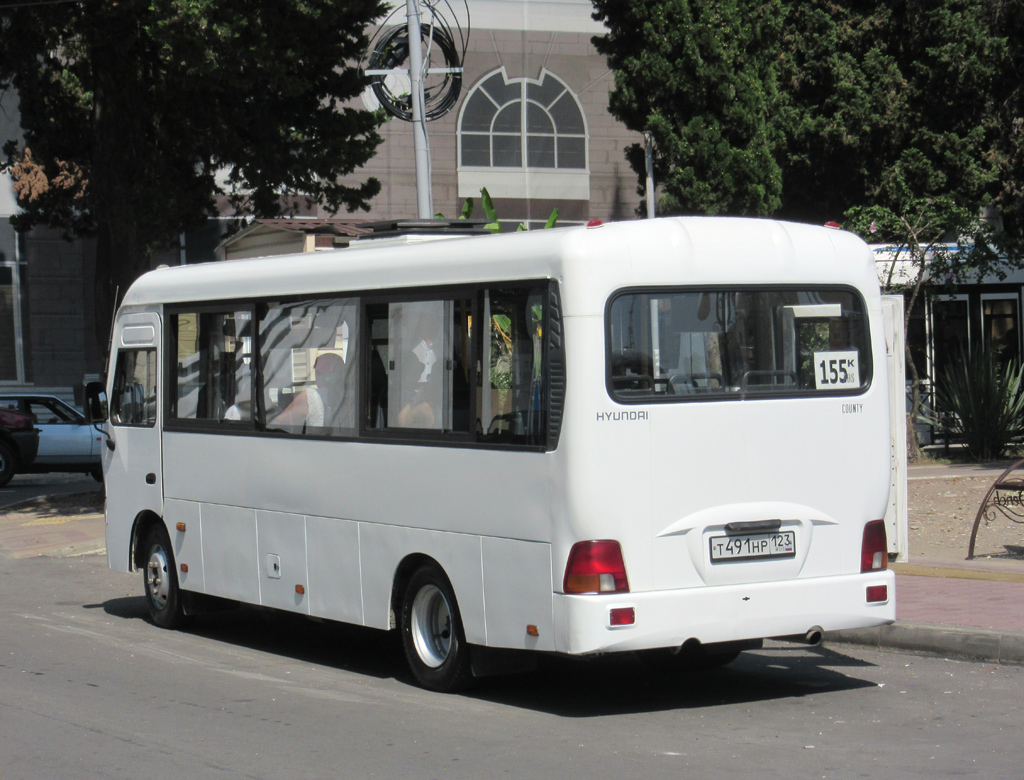 Краснодарский край, Hyundai County LWB C09 (ТагАЗ) № Т 491 НР 123