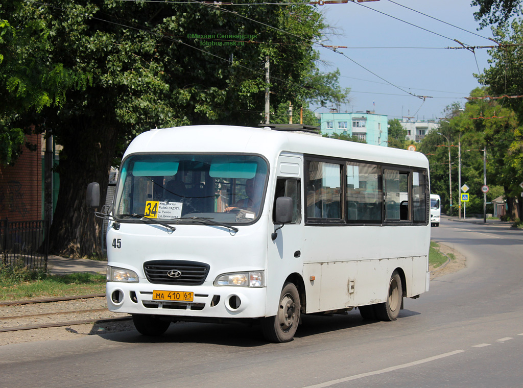 Ростовская область, Hyundai County LWB C09 (ТагАЗ) № 45