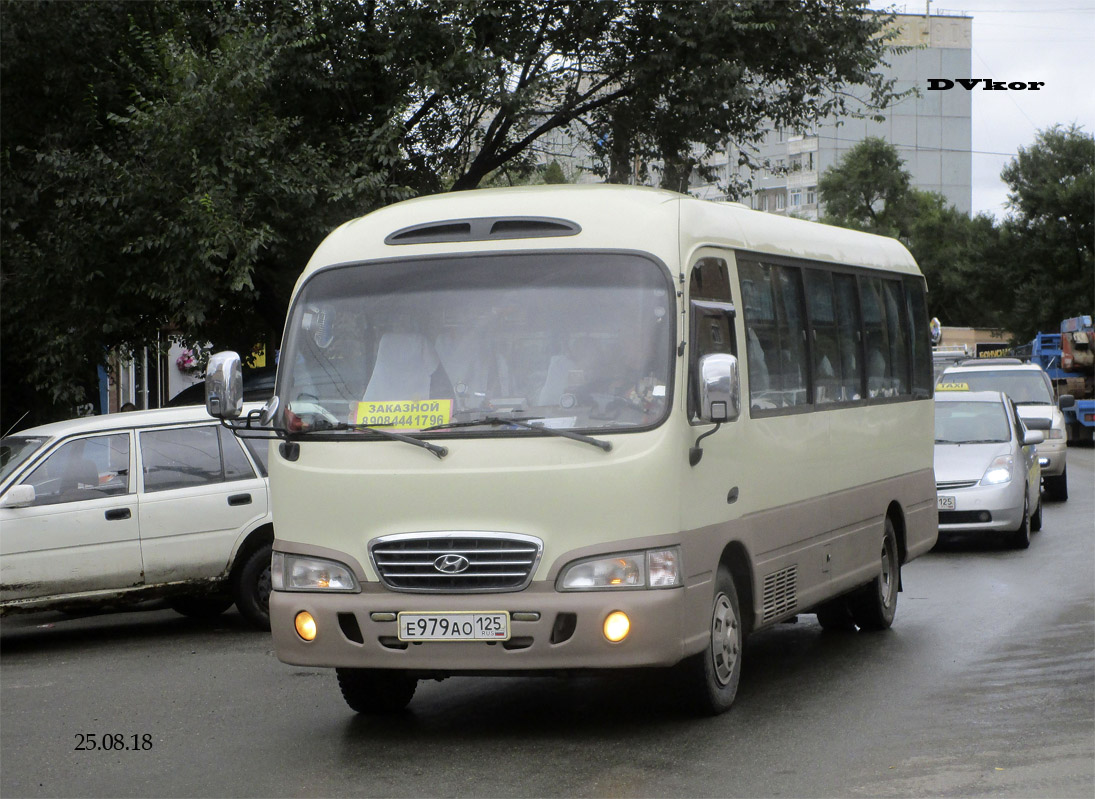 Tengermelléki határterület, Hyundai County Deluxe sz.: Е 979 АО 125