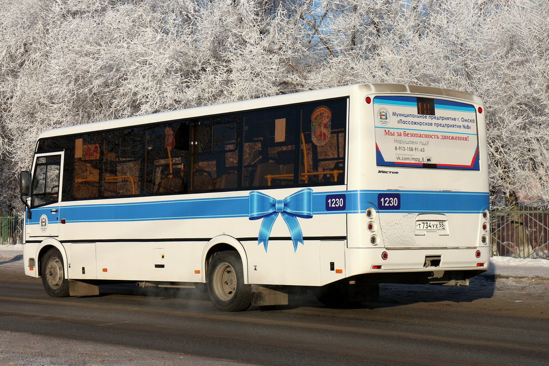 Omsk region, PAZ-320414-04 "Vektor" (1-2) № 1230