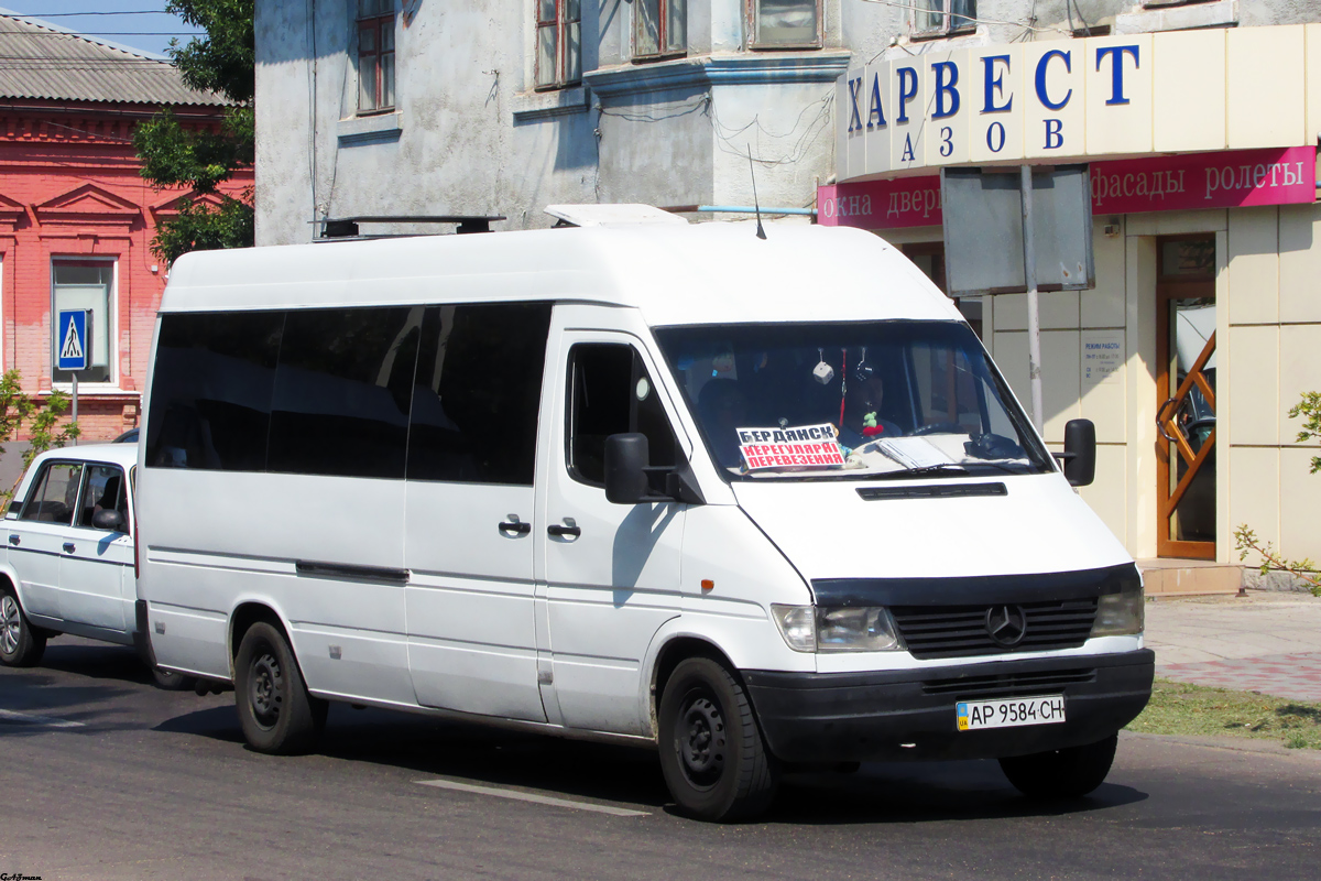 Запорожская область, Mercedes-Benz Sprinter W903 312D № AP 9584 CH