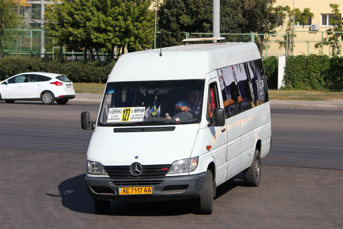 Днепропетровская область, Mercedes-Benz Sprinter W903 313CDI № AE 7117 AA