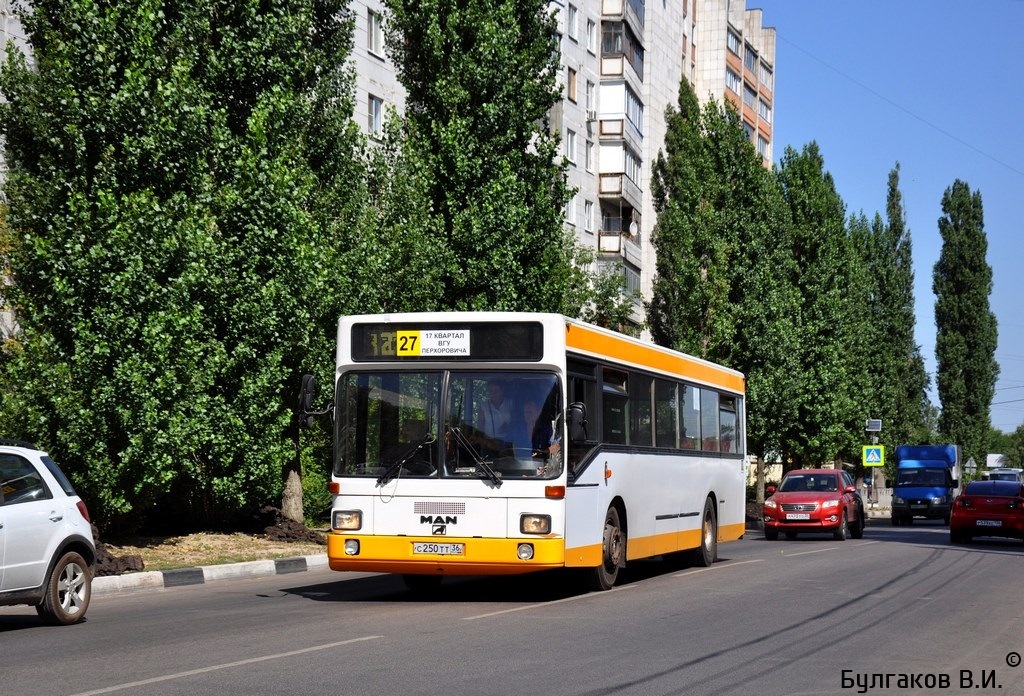 Воронежская область, MAN 791 SL202 № С 250 ТТ 36