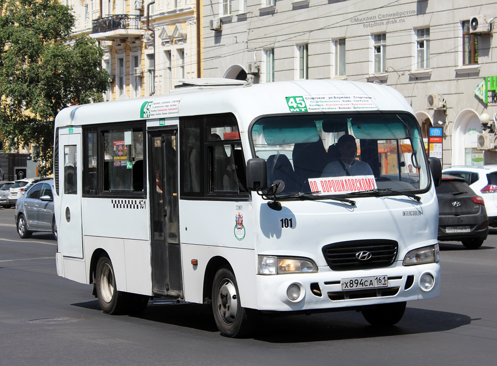 Ростовская область, Hyundai County SWB C08 (ТагАЗ) № 101