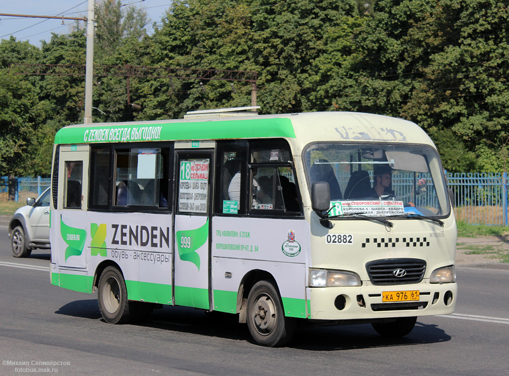 Ростовская область, Hyundai County SWB C08 (РЗГА) № 02882