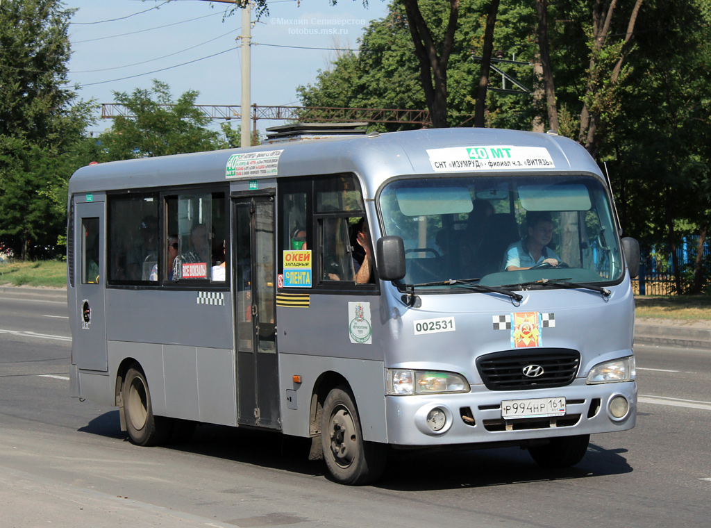 Ростовская область, Hyundai County LWB C09 (ТагАЗ) № 002531