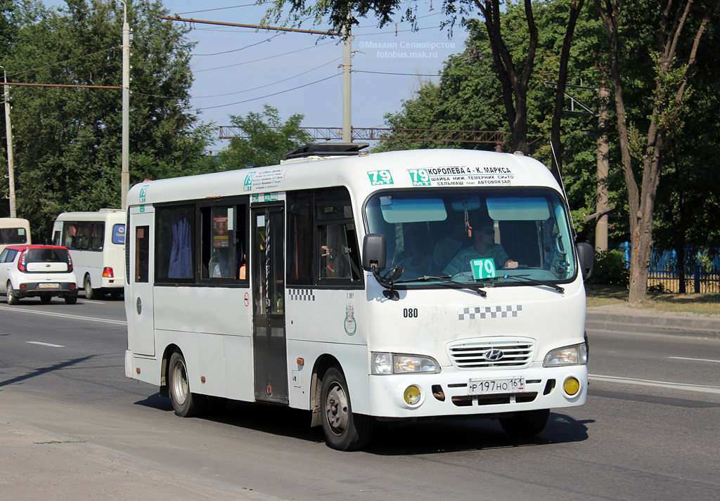 Ростовская область, Hyundai County LWB C09 (ТагАЗ) № 080