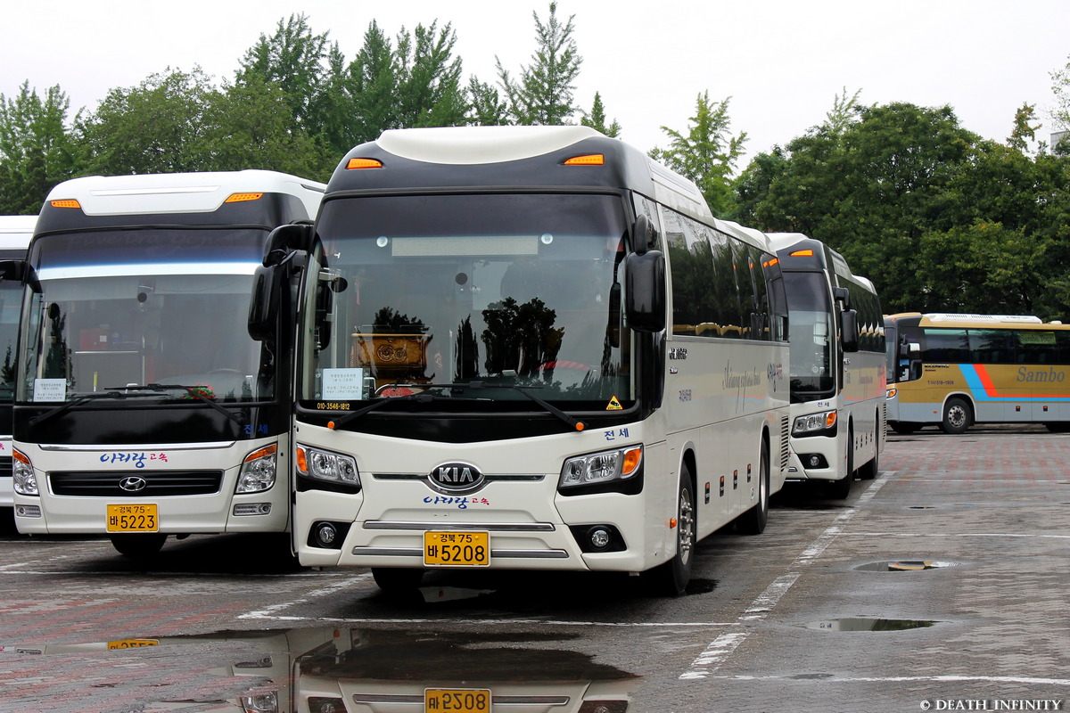 Южная Корея, Hyundai Universe (все) № 경북 75 바 5223; Южная Корея, Kia KM959H Granbird Sunshine № 경북 75 바 5208