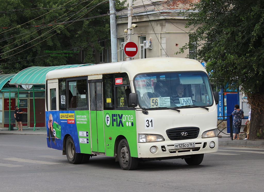 Ростовская область, Hyundai County SWB C08 (РЗГА) № 31