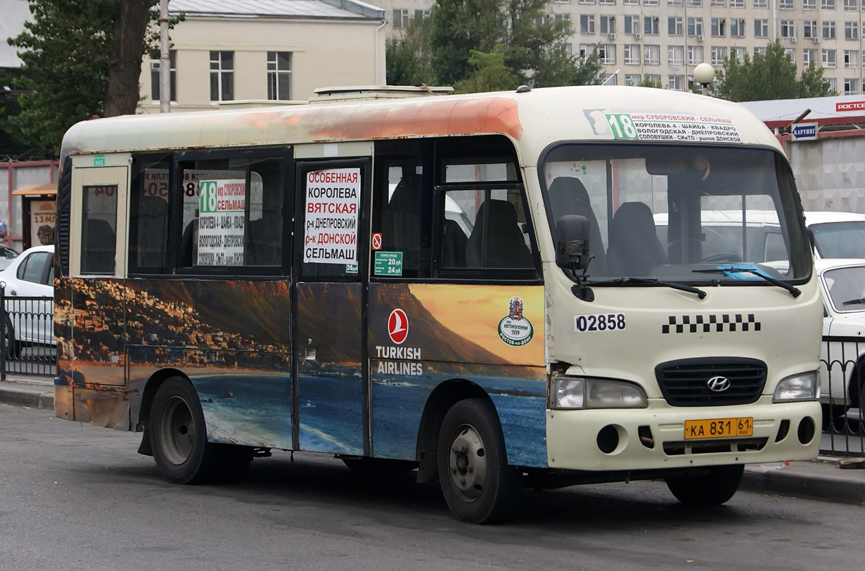 Ростовская область, Hyundai County SWB C08 (РЗГА) № 02858