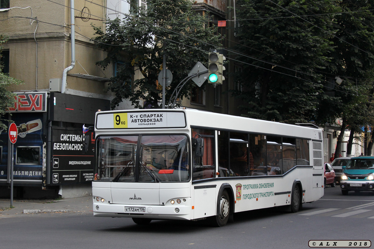 Варонежская вобласць, МАЗ-103.465 № Х 172 АМ 136