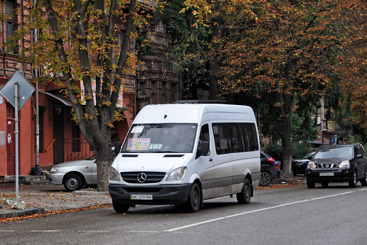 Днепропетровская область, Mercedes-Benz Sprinter W906 313CDI № AE 5604 BA