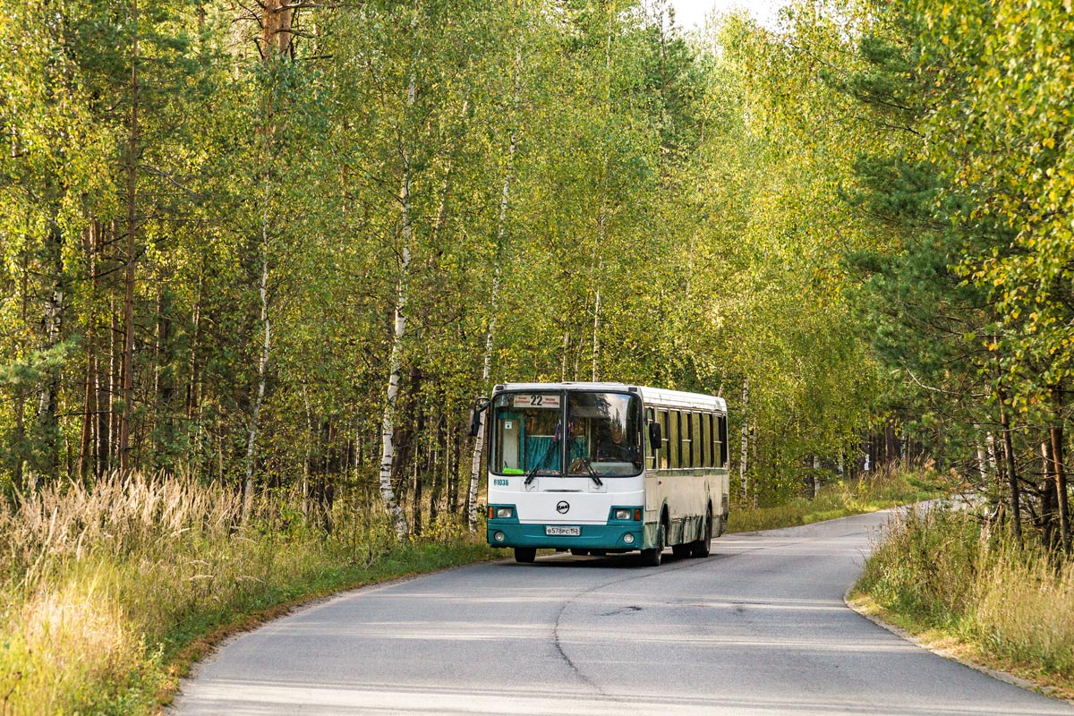 Нижегородская область, ЛиАЗ-5256.26 № 21038