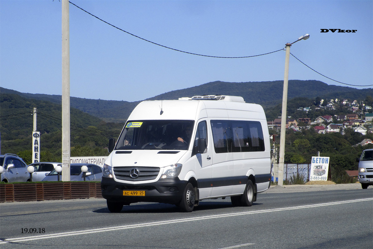 Приморский край, Луидор-223602 (MB Sprinter) № АС 499 25