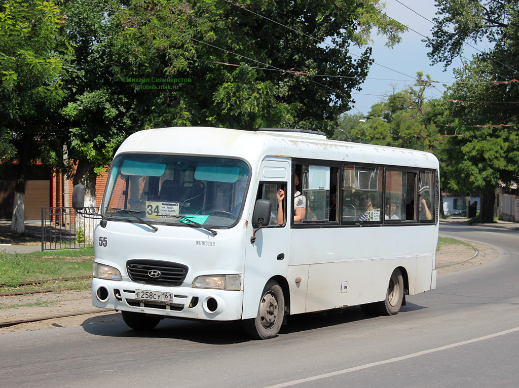 Ростовская область, Hyundai County LWB C09 (ТагАЗ) № 55