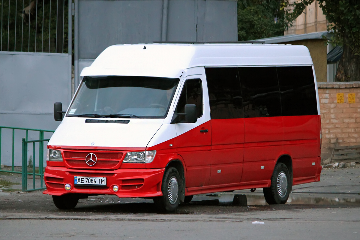 Днепропетровская область, Mercedes-Benz Sprinter W903 310D № AE 7086 IM