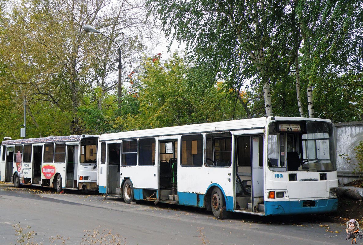 Нижегородская область, ЛиАЗ-5256.26 № 30565