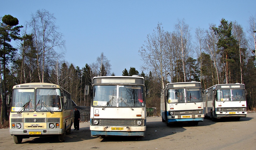 Ленинградская область, ПАЗ-4234 № АЕ 527 47; Ленинградская область, Ikarus 263.10 № АВ 233 47; Ленинградская область, Ikarus 263.10 № АЕ 797 47; Ленинградская область, Ikarus 263.10 № АА 486 47; Ленинградская область — Разные фотографии