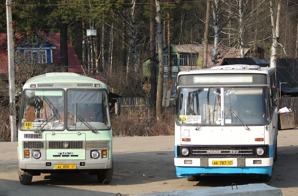 Ленинградская область, ПАЗ-4234 № АЕ 800 47; Ленинградская область, Ikarus 263.10 № АЕ 787 47; Ленинградская область — Разные фотографии