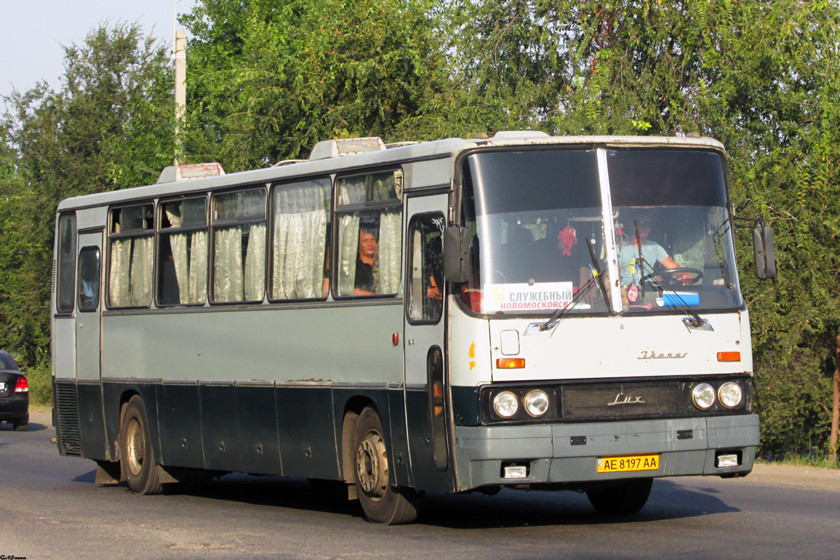 Dnepropetrovsk region, Ikarus 250.59 Nr. AE 8197 AA