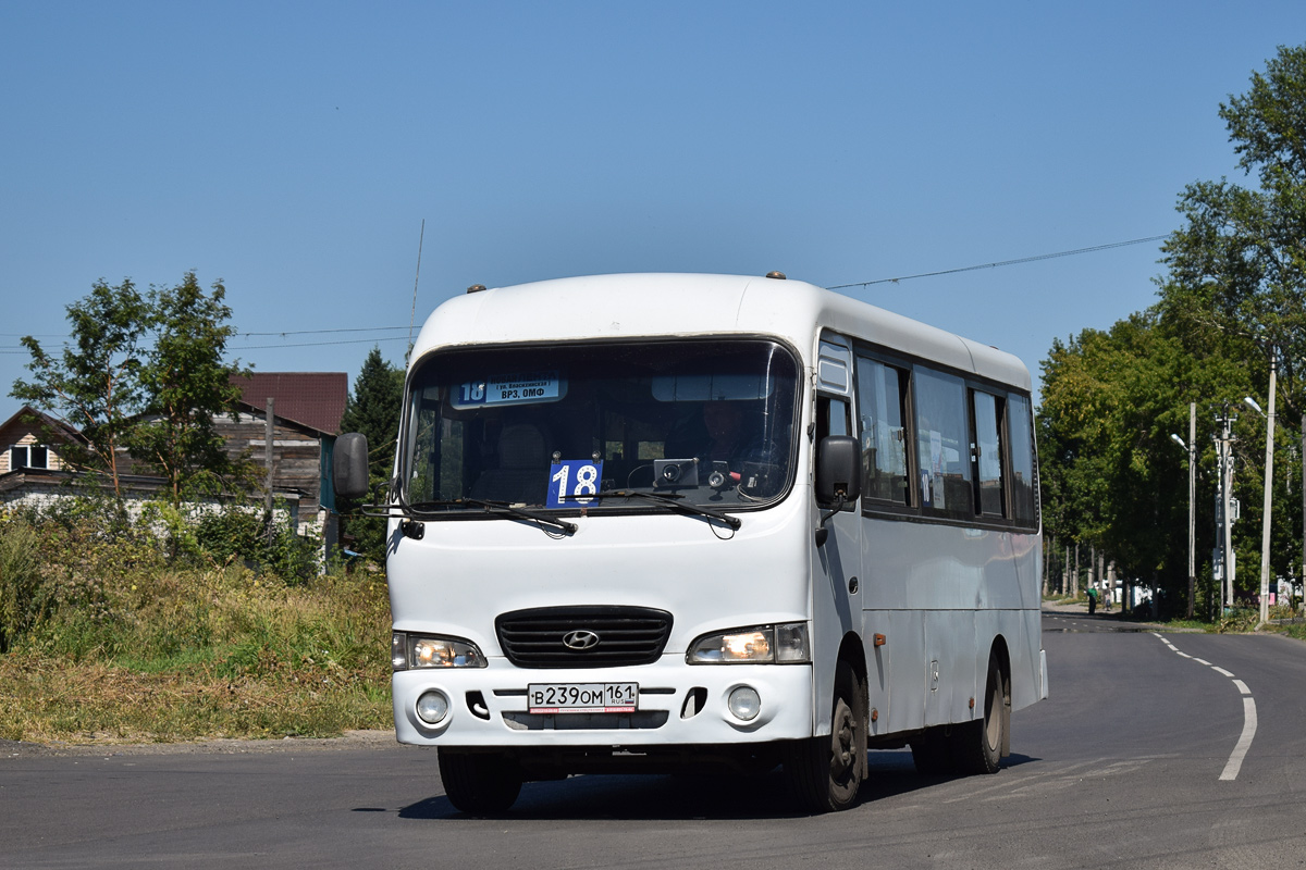 Алтайский край, Hyundai County LWB (ТагАЗ) № В 239 ОМ 161