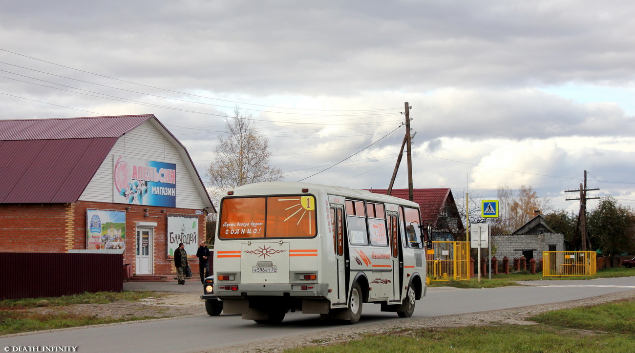 Томская область, ПАЗ-32054 № Е 596 ЕТ 70