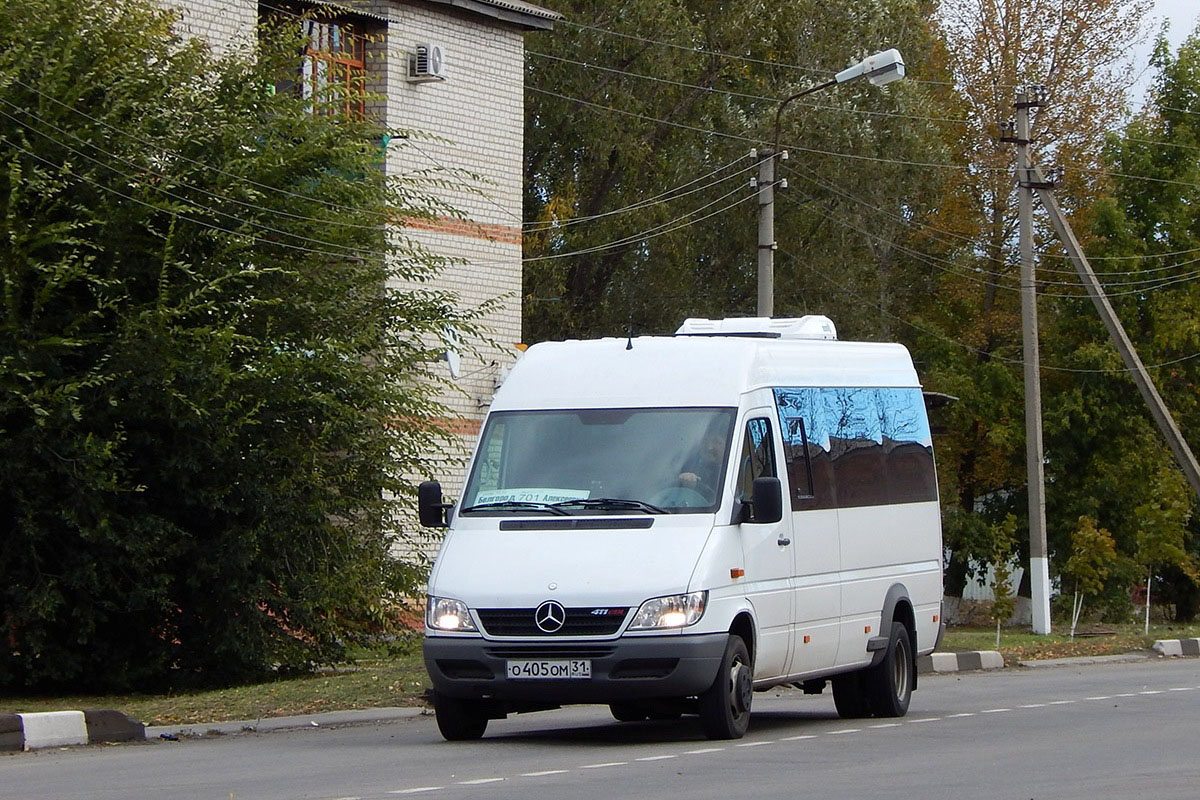 Белгородская область, Луидор-223201 (MB Sprinter Classic) № О 405 ОМ 31