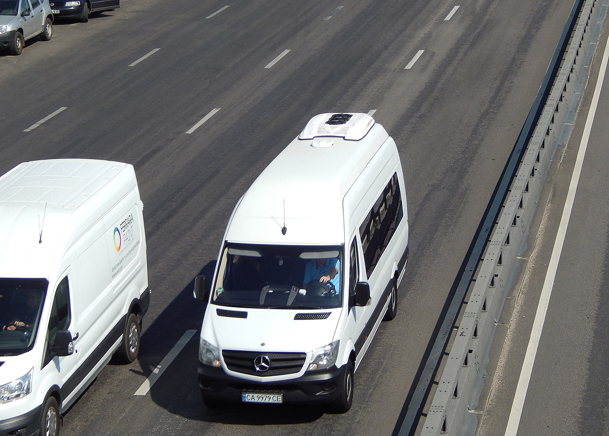 Черкасская область, Mercedes-Benz Sprinter W906 319CDI № CA 9979 CE