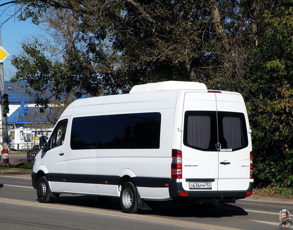 Нижегородская область, Луидор-223602 (MB Sprinter) № О 636 РМ 152