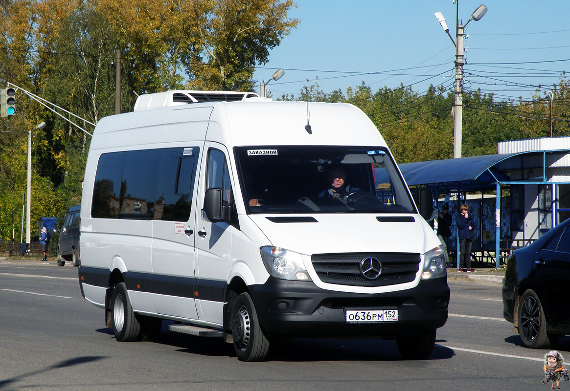 Нижегородская область, Луидор-223602 (MB Sprinter) № О 636 РМ 152