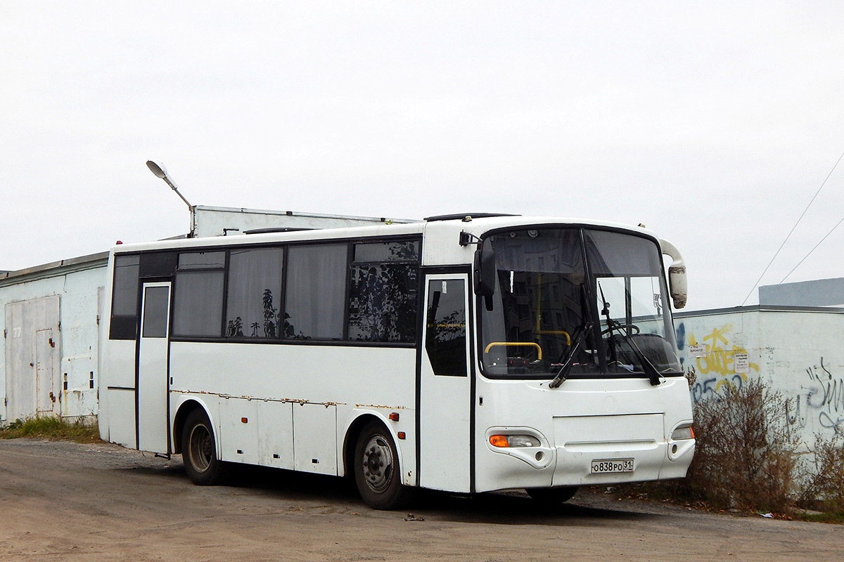 Белгородская область, ПАЗ-4230-02 (КАвЗ) № О 838 РО 31