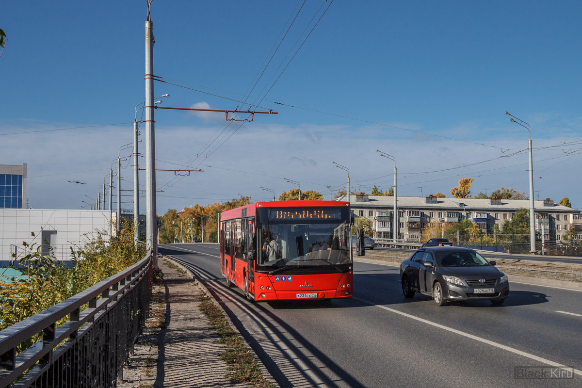 Татарстан, МАЗ-203.069 № А 231 СХ 716