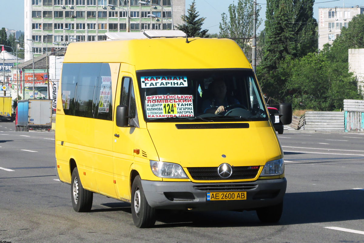 Днепропетровская область, Mercedes-Benz Sprinter W903 311CDI № AE 2600 AB