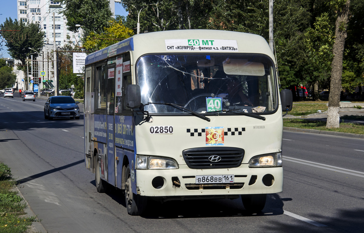 Ростовская область, Hyundai County SWB C08 (РЗГА) № 02850