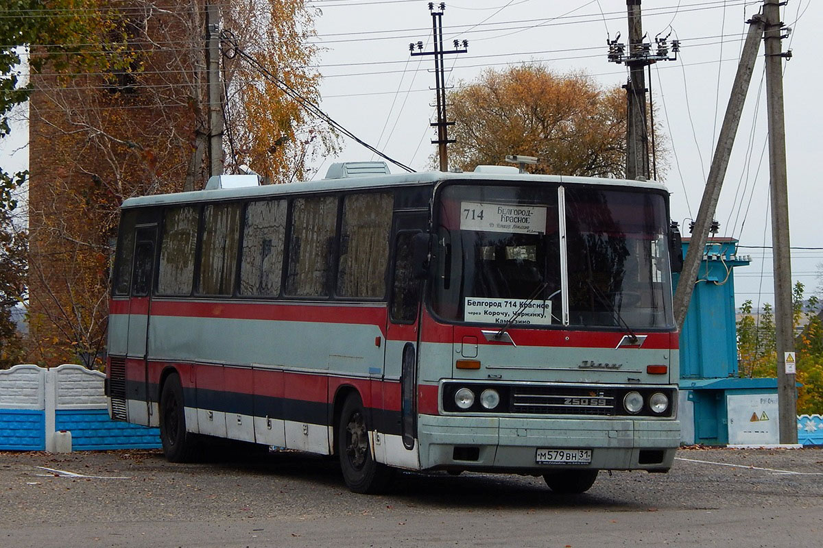 Белгородская область, Ikarus 250.59 № М 579 ВН 31 — Фото — Автобусный  транспорт