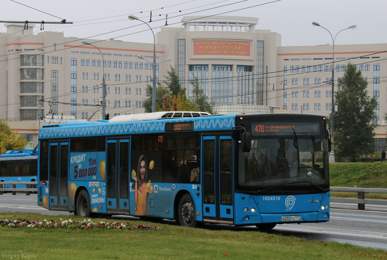 Moskau, MAZ-203.069 Nr. 1024210