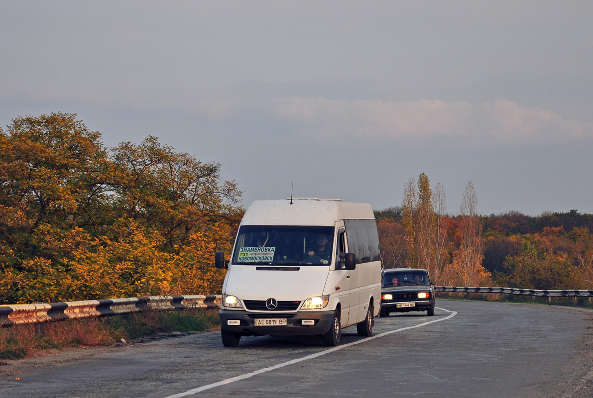 Днепропетровская область, Mercedes-Benz Sprinter W903 313CDI № AE 0819 BP