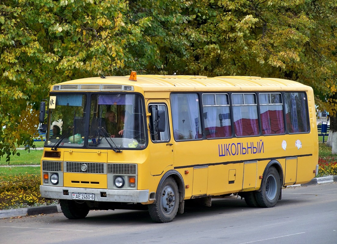 Могилёвская область, ПАЗ-Р 4234-70 № АЕ 2460-6