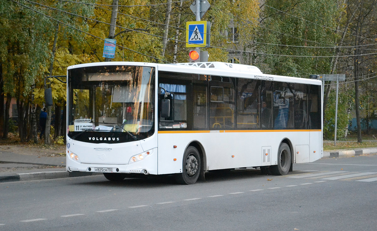 Маскоўская вобласць, Volgabus-5270.0H № К 825 СМ 750