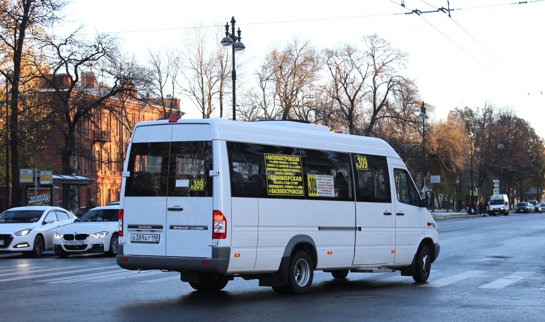 Санкт-Петербург, Луидор-223237 (MB Sprinter Classic) № В 389 АТ 198