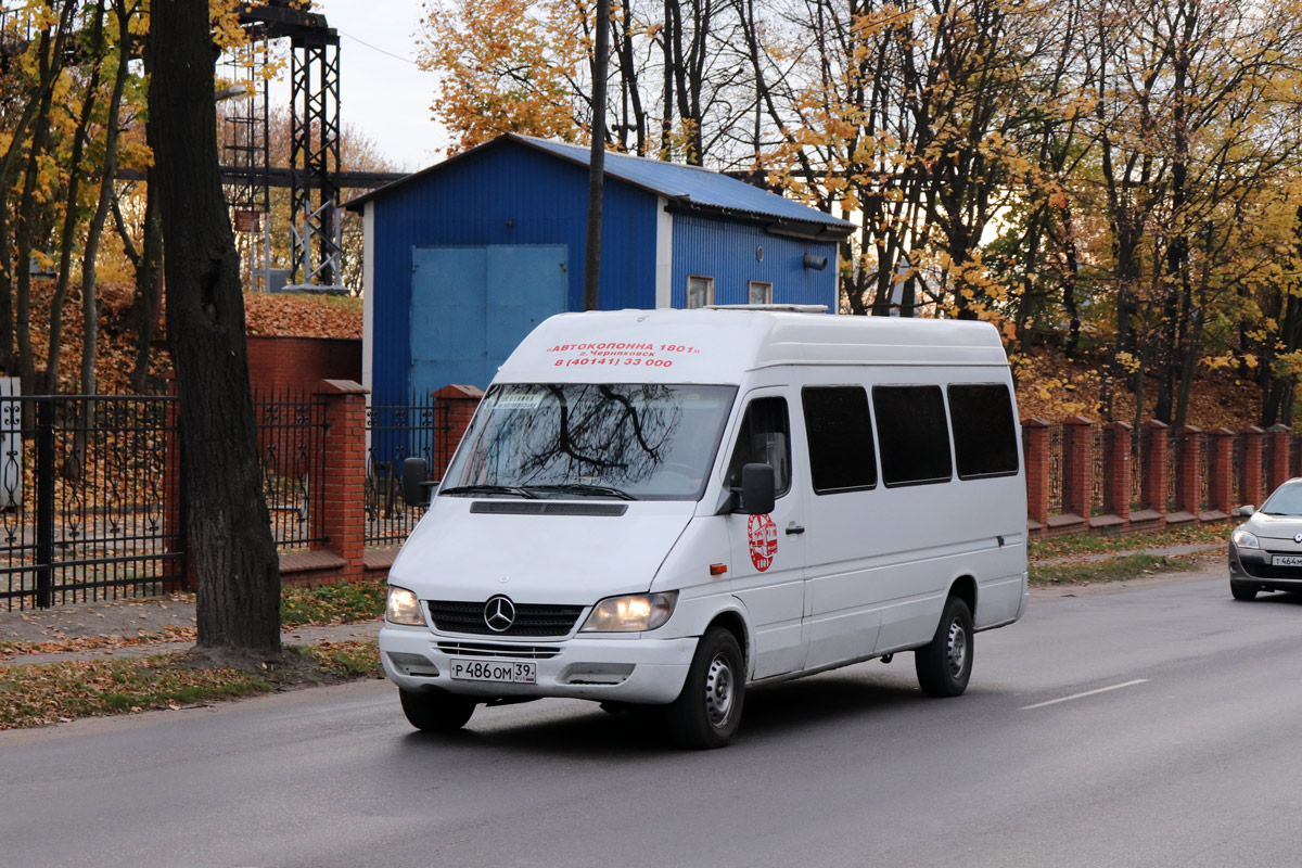 Калининградская область, Mercedes-Benz Sprinter W903 313CDI № Р 486 ОМ 39