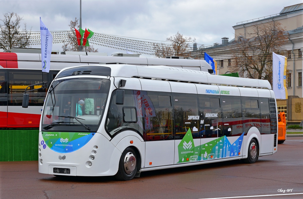 Минск, A4202K Vitovt Hybrid № БКМ А4202К; Гомельская область — Разные фотографии