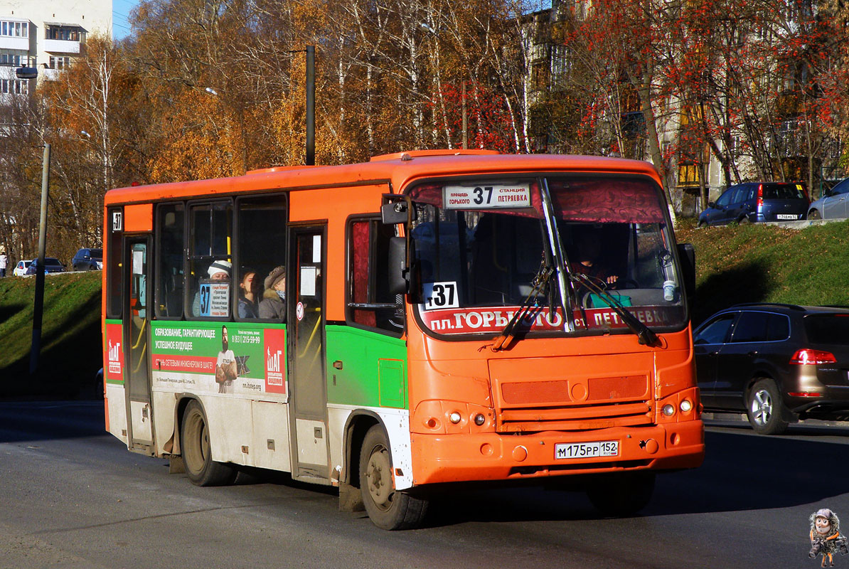 Нижегородская область, ПАЗ-320402-05 № М 175 РР 152